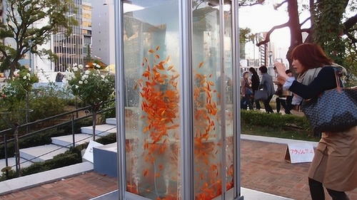 牛人改造廢棄電話亭，變身金魚(yú)水族箱引網(wǎng)友驚嘆 這個(gè)創(chuàng)意我給滿分！